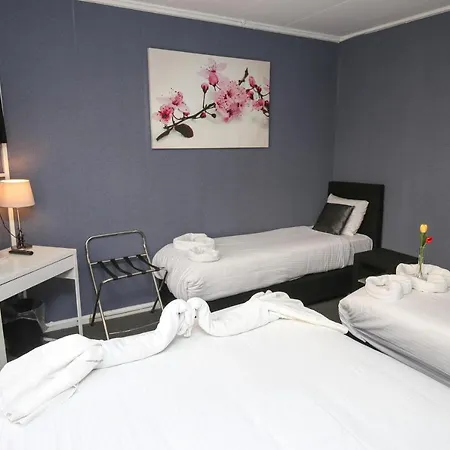 Hotel Flipper 2*