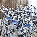 フリッパー 2*