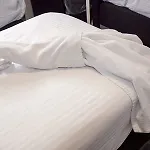フリッパー